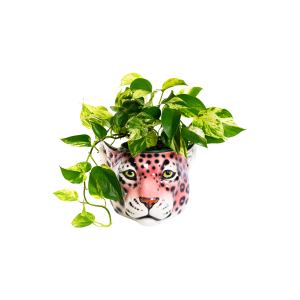 Ceramic Leopard Planter