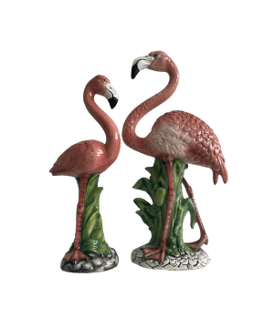 Flamingos