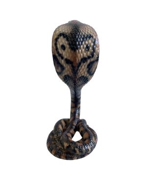 COBRA NATURAL CERAMIC SCULPTURE 77CM
