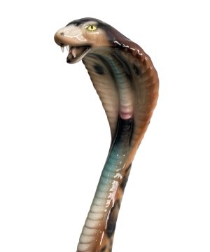 COBRA 45CM NATURAL GREEN CERAMIC SCULPTURE