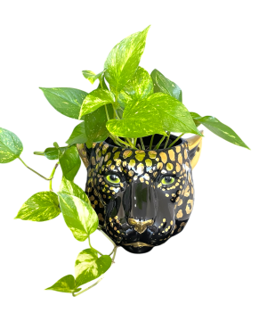 ZSA ZSA MEDIUM GOLD ROSETTE CERAMIC PLANTER